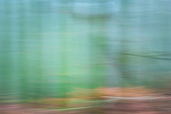 Forest abstrakt suddig bakgrund — Stockfoto