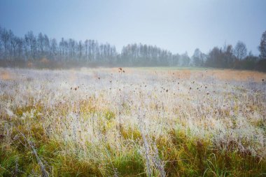 soğuk sabah manzara