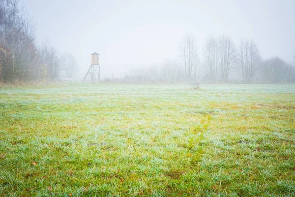 Paisagem matinal gelada e couro levantado — Fotografia de Stock