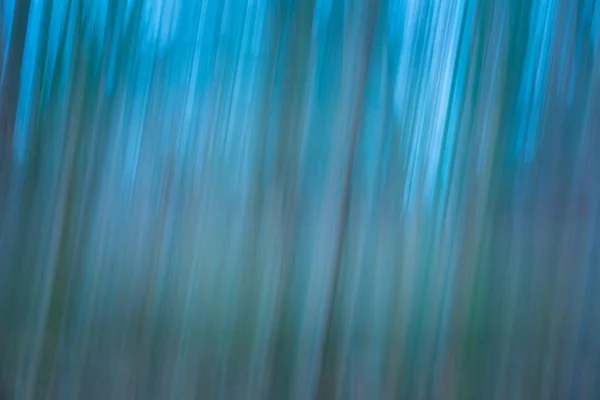 Forest abstrakt suddig bakgrund — Stockfoto