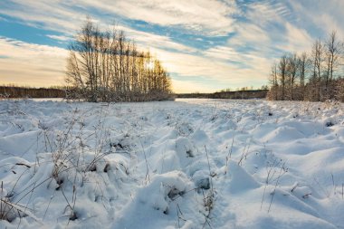 Lehçe peyzaj alanları ve orman yakınlarındaki kırsal yolu ile kar kaplı.