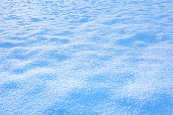 新鲜的雪躺在字段上的特写 — 图库照片