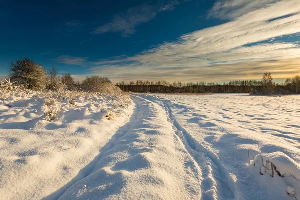 雪覆われた野原と森の近くの田舎道でポーランドの風景. — ストック写真