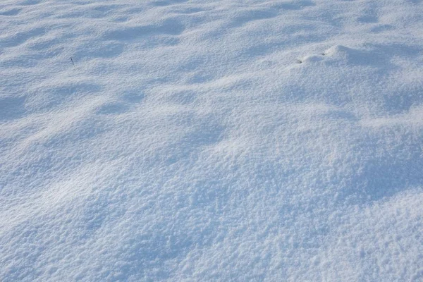Primer plano de nieve fresca que yace en el campo — Foto de Stock