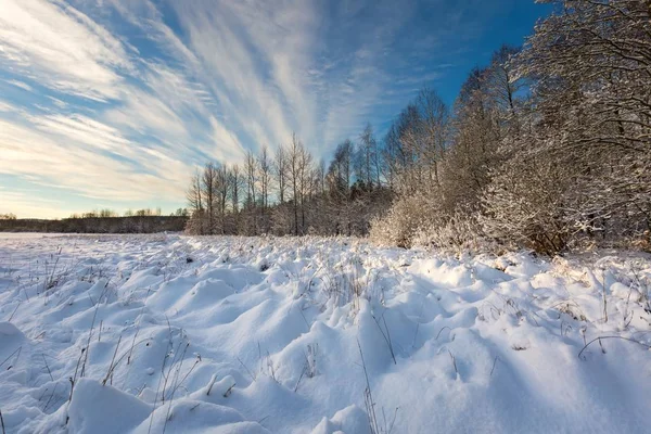 Paesaggio polacco coperto di neve . — Foto Stock