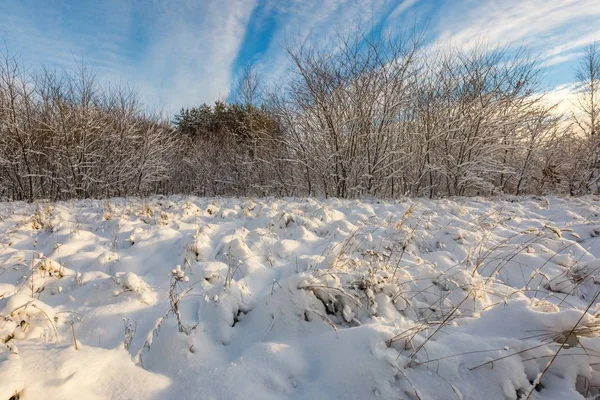 Nieve cubierto paisaje pulido . — Foto de Stock