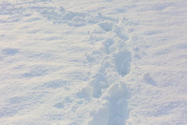 Close-up de marcas de pé na neve fresca — Fotografia de Stock