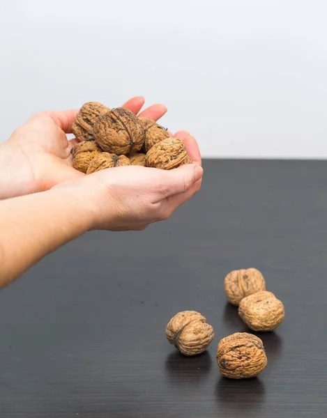 Walnut holding by woman hands. — Stock Photo, Image