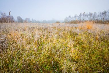 soğuk sabah manzara
