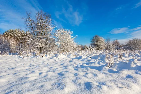 Nieve cubierto paisaje pulido . —  Fotos de Stock
