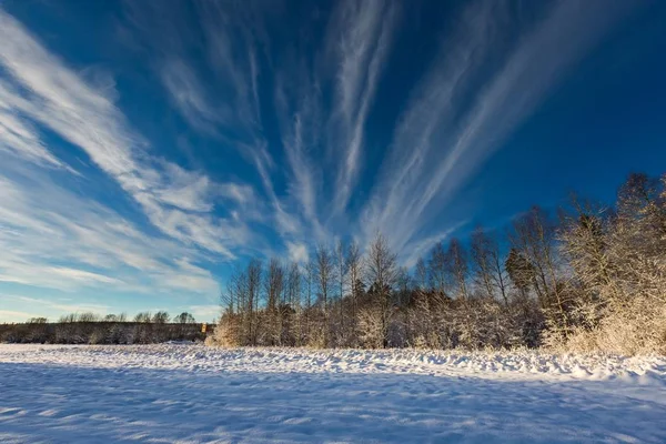 Paysage polonais couvert de neige . — Photo