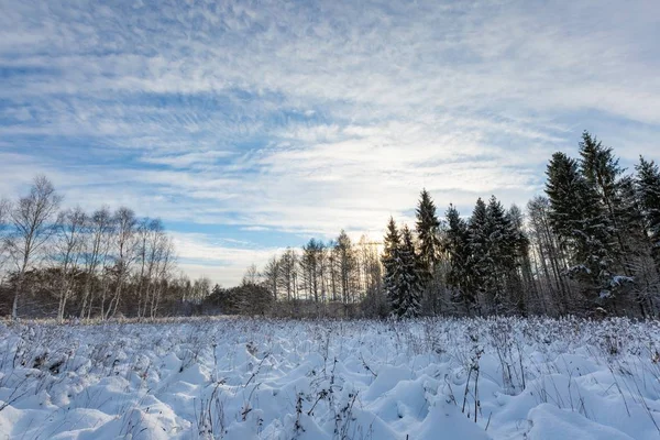 Sneeuw bedekt landschap van Pools. — Stockfoto