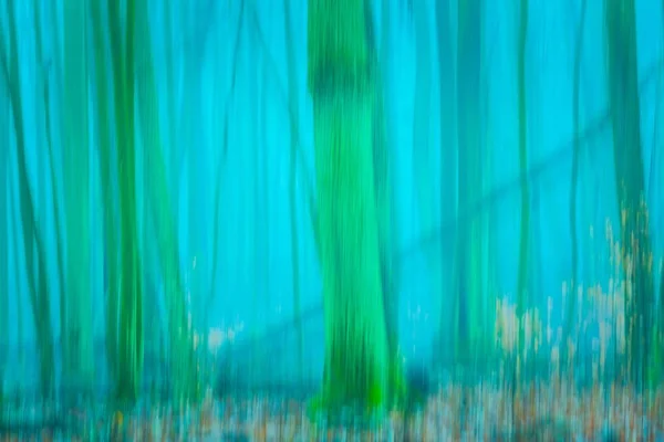 Niewyraźne tło lasu — Zdjęcie stockowe