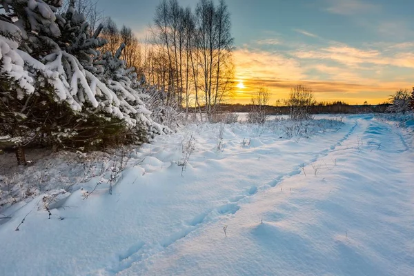 Snötäckta polska landskap. — Stockfoto