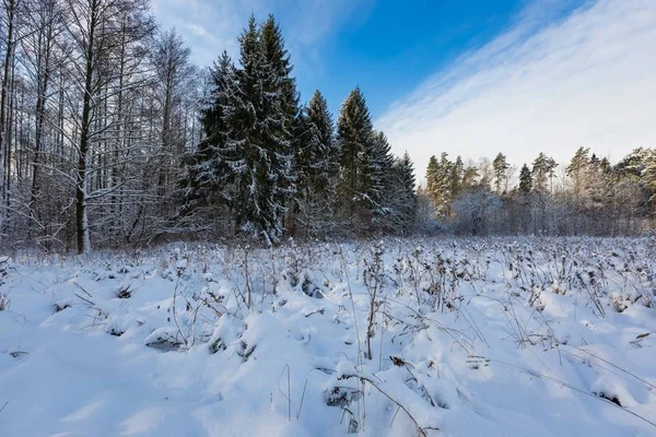 Snow covered polish landscape. — Stock Photo, Image