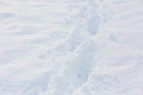 Закрытие следов в свежем снегу — стоковое фото