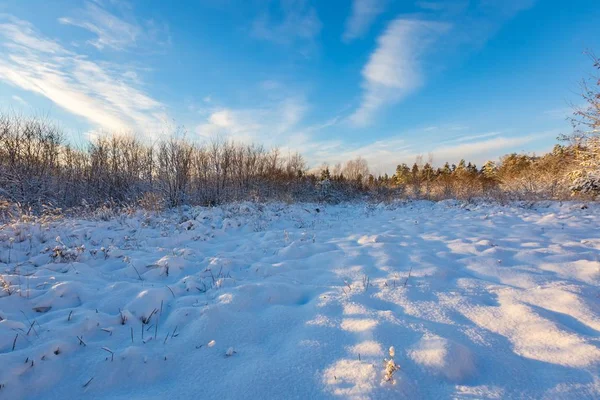 Neve coberto campo com árvores — Fotografia de Stock