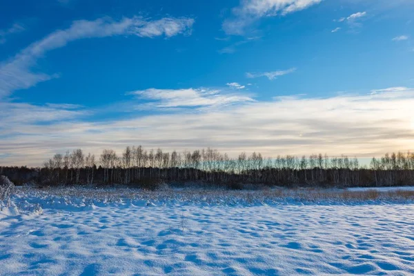雪覆われたポーランドの風景. — ストック写真