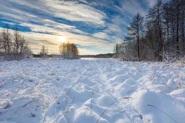 雪覆われたポーランドの風景. — ストック写真