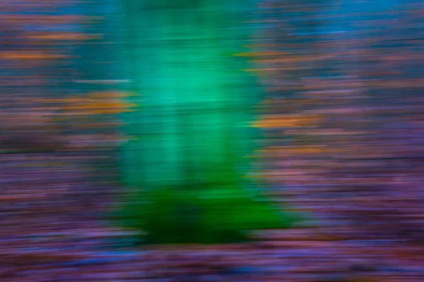 Forêt abstraite fond flou — Photo