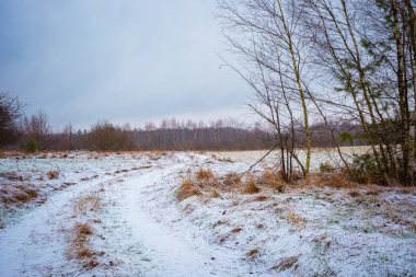 Kötü hava kış çayır manzara