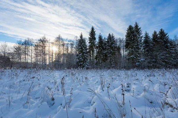 Sneeuw bedekt landschap van Pools. — Stockfoto