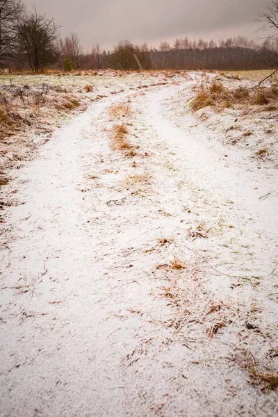 Zła pogoda zima łąka krajobraz — Zdjęcie stockowe