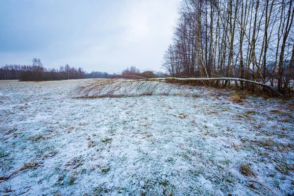 Bad weather winter meadow landscape