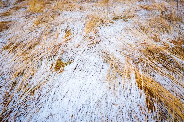 Mau tempo inverno prado paisagem — Fotografia de Stock