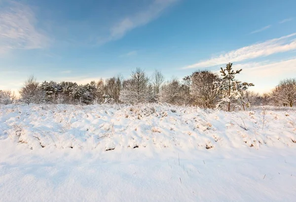 Pokryte śniegiem krajobraz Polski. — Zdjęcie stockowe