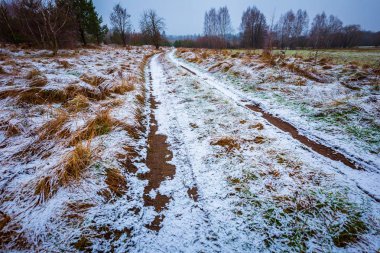 Kötü hava kış çayır manzara