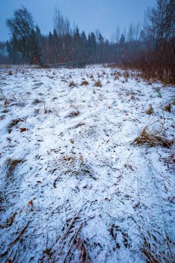 Kötü hava kış çayır manzara