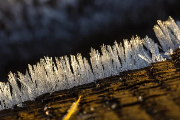 Gros plan de cristaux de neige ou de glace — Photo