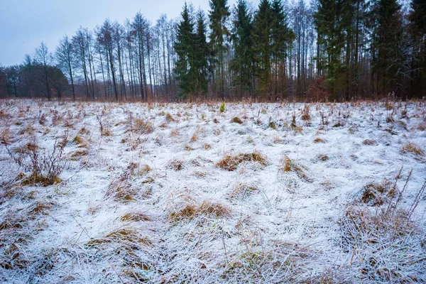 Kötü hava kış çayır manzara — Stok fotoğraf