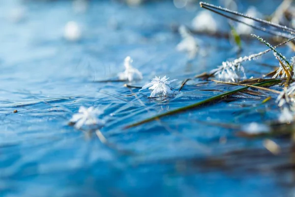 Ice on water texture. — Stock Photo, Image