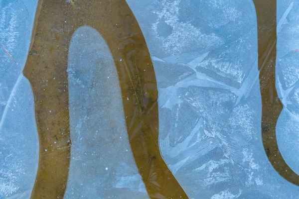 Hielo sobre textura de agua . —  Fotos de Stock