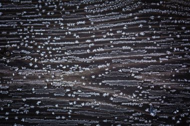 Hoarfrost ile karanlık eski ahşap