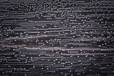 Hoarfrost ile karanlık eski ahşap