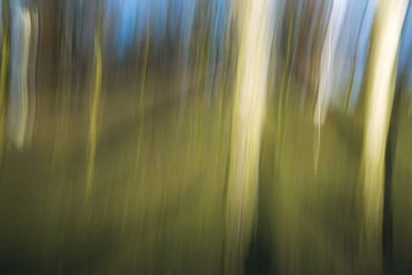 L'astrazione del parco. Lunga esposizione . — Foto Stock