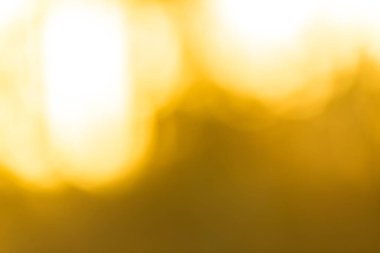 Kış orman bokeh arka plan