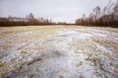 donmuş su birikintileri ile kış çayır