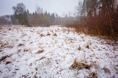 Kötü hava kış çayır manzara