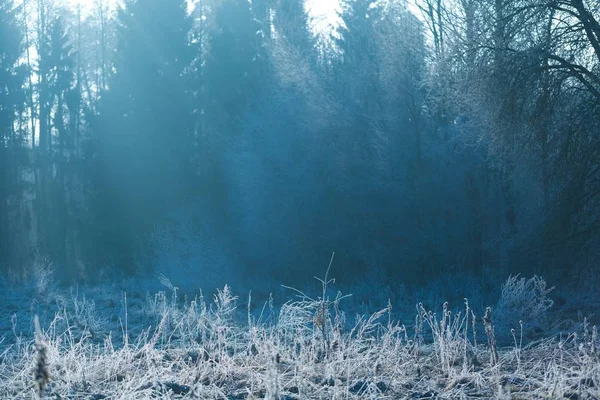 Paisagem rural com geada de inverno — Fotografia de Stock