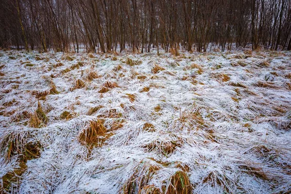 Mau tempo inverno prado paisagem — Fotografia de Stock