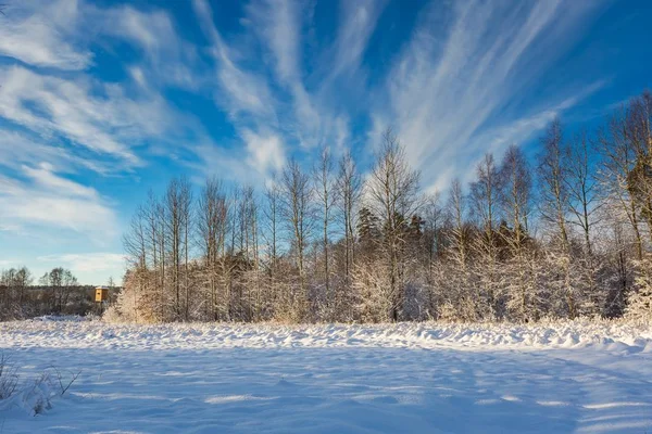 Neve coberta paisagem polonês . — Fotografia de Stock