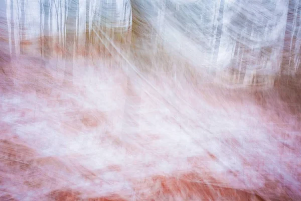 추상 겨울 숲 배경 — 스톡 사진