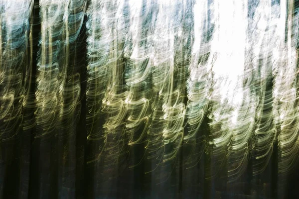抽象的森林照片 — 图库照片