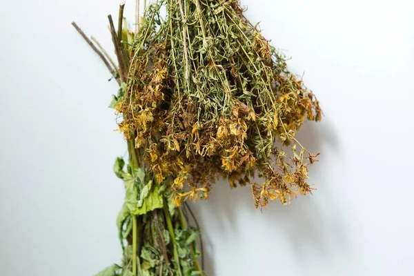 Drying herbs hanging on white wall — Stock Photo, Image
