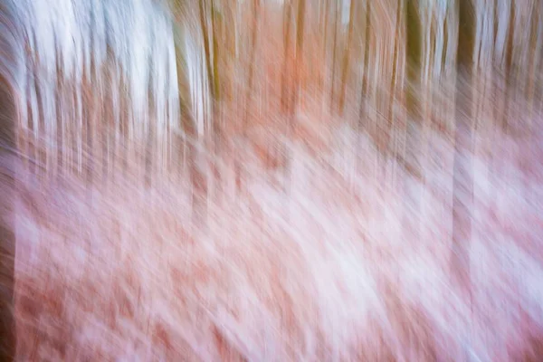 抽象冬天森林背景 — 图库照片