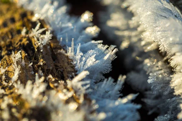 Gros plan de cristaux de neige ou de glace — Photo